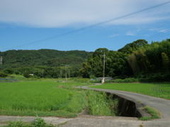 田舎道