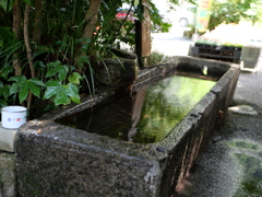 涼を求めて