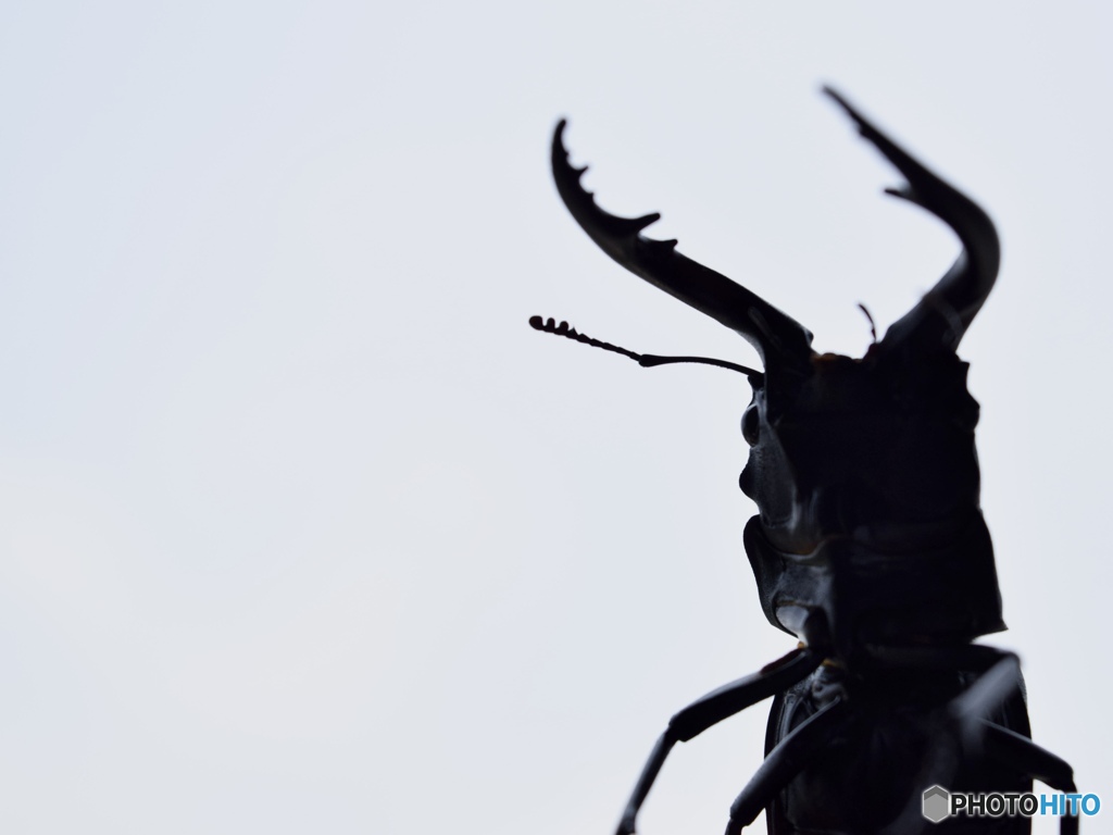 Lord of the Sky