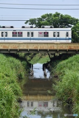 夏の色