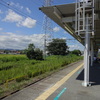 東京フリーきっぷの旅004