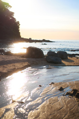 summer sunset