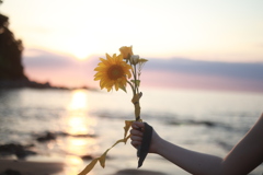 summer sunset