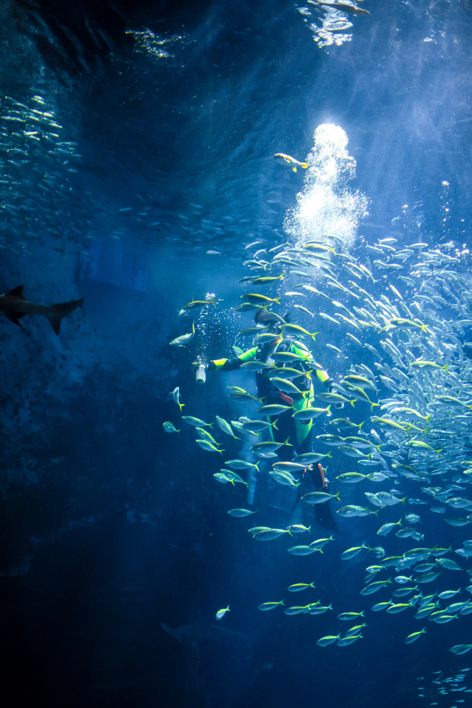 marine world