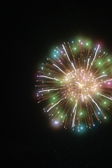Night Flower