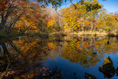 水鏡の紅葉