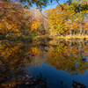 水鏡の紅葉