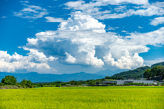 夏のおばけ雲