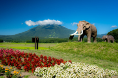 夏の妙高山とマンモス親子