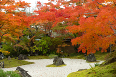 円通院の紅葉