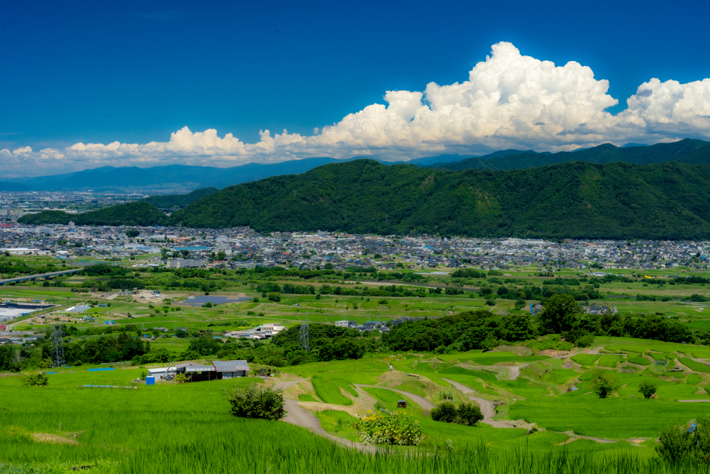 姨捨の棚田から見る善光寺平と夏の空