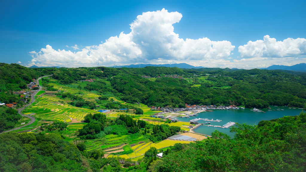 大浦の棚田と夏の空