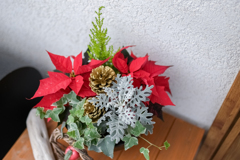 まつぼっくりとポインセチア①