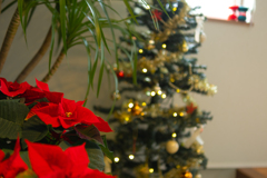 12月10日の午前①