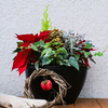 まつぼっくりとポインセチア②