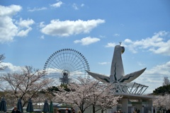 万博記念公園