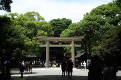 明治神宮