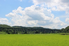 夏空と橋