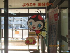 ぶんじほたるホッチ