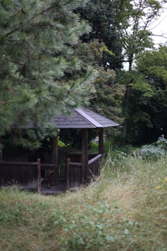雨上がりの公園