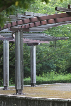 公園スナップ