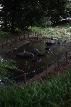 雨上がりの公園2