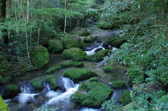 IMGP3863