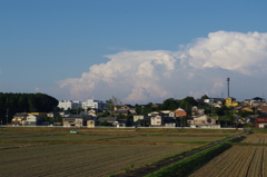 IMGP3995