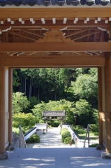 IMGP3956