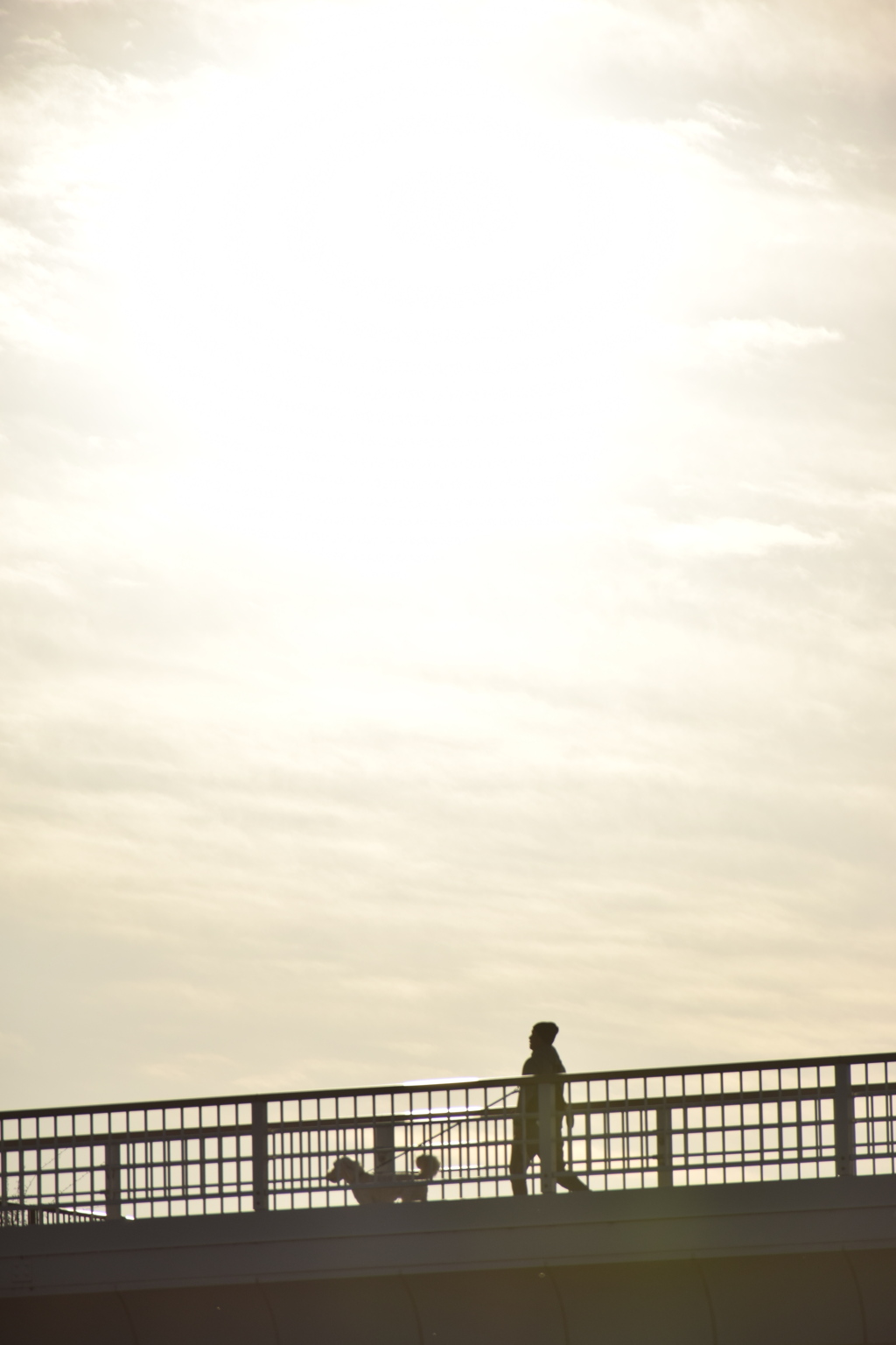 見上げるほどの光