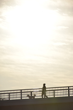 見上げるほどの光