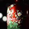 漆紅に咲く