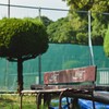色褪せた長椅子