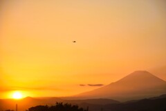 動と静の交点