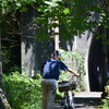 木漏れ日に誘われて