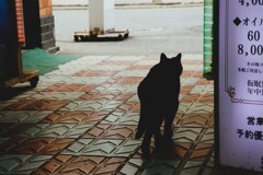 君を追いかけて