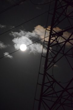 月夜の架け橋