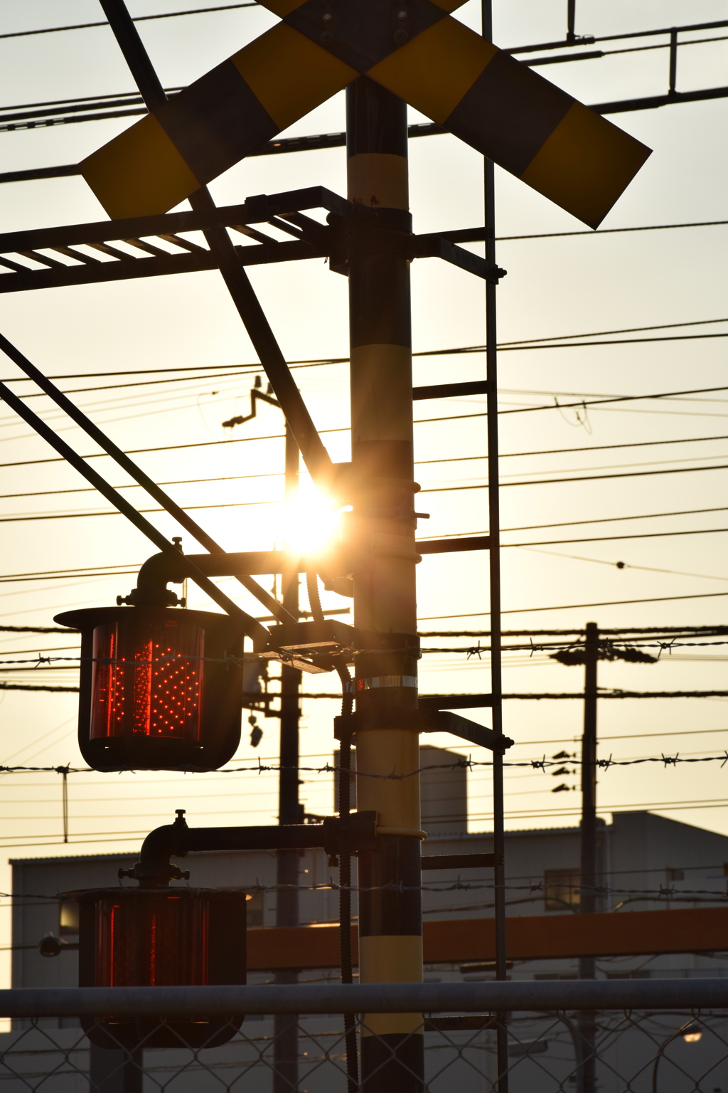 夕日の汽笛