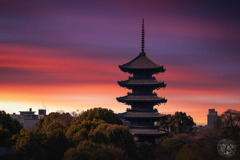 東寺