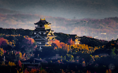 @京都府
