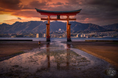 大鳥居