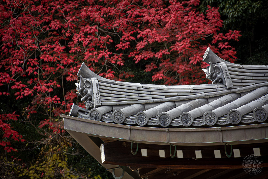 聖地の魔法の赤