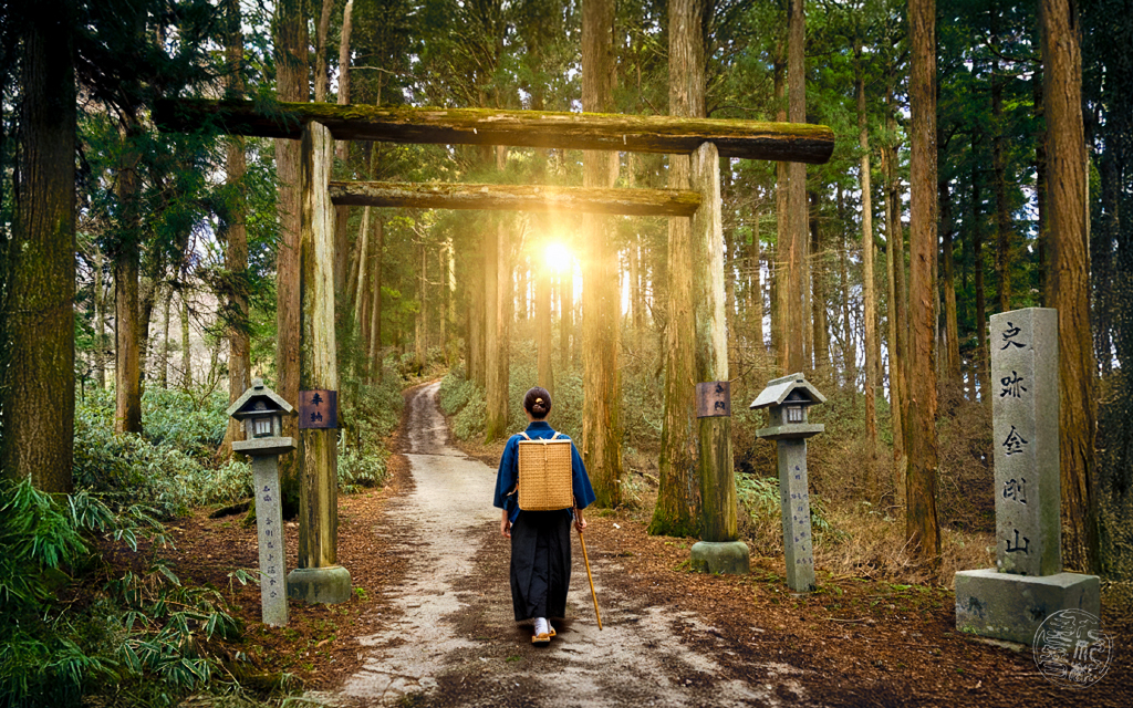 金剛山ハイキング