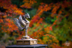 私は秋に飛行機に乗るのが好きです。