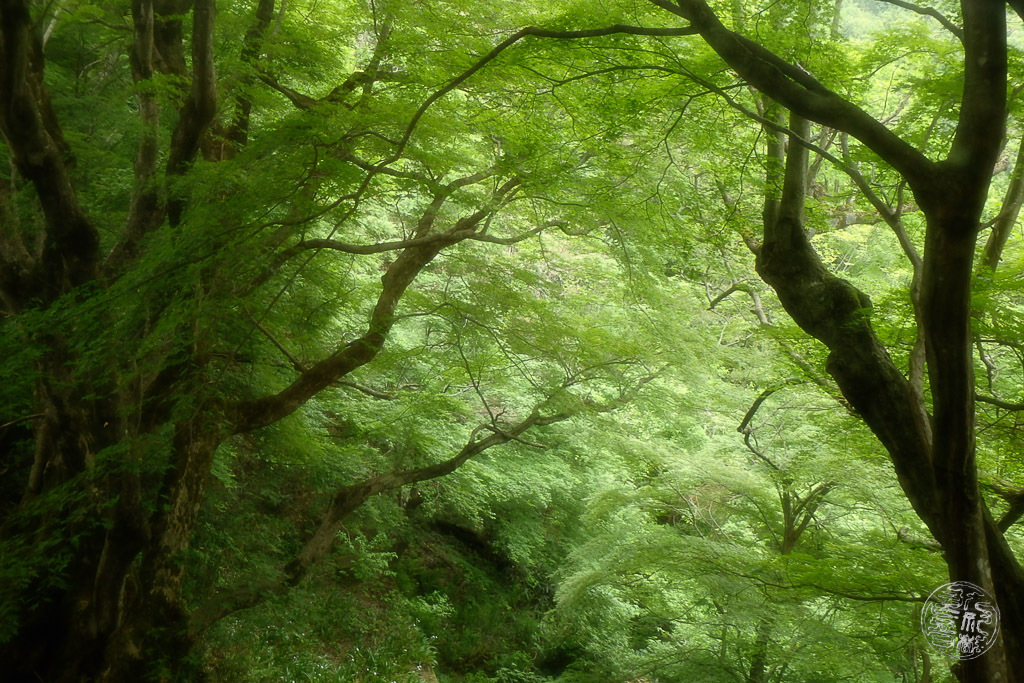 トイレからの素敵な眺め