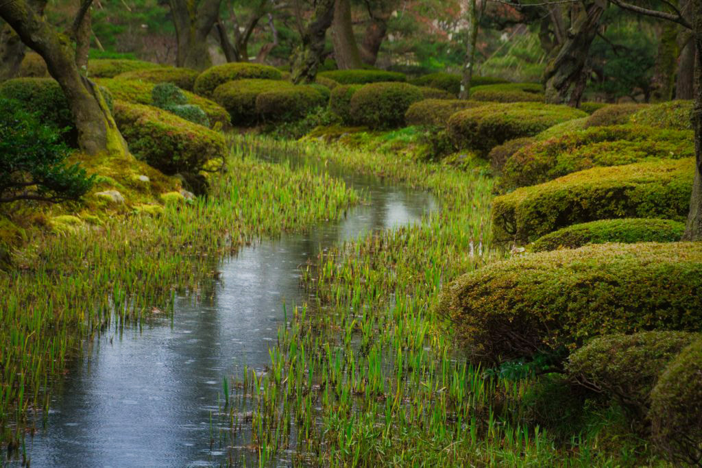 素晴らしい小川