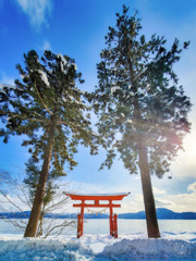 美しい鳥居