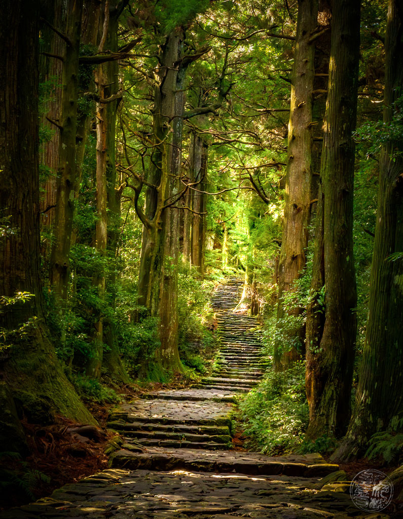 20151203_040137_IMG_8993-Pano-Verbessert