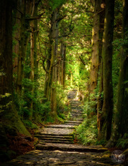 20151203_040137_IMG_8993-Pano-Verbessert