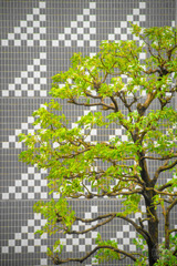 自然と家の美しい融合